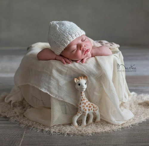Imagen 3 de 10 de Sophie La Girafe Famosa Jirafa Sofia Chocolette Original