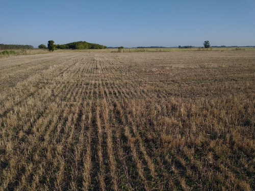 Imagen 12 de 14 de Campo En Venta En Punta Indio - 77 Hectáreas