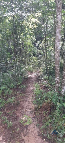 Imagem 5 de 17 de Sítio À Venda, 240000 M² Por R$ 700.000,00 - Centro - Sapopema/pr - Si0011