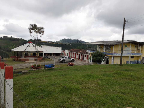 Finca En Venta En Via Armenia/pereira (48573).