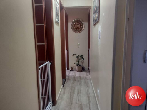 Imagem 3 de 13 de Apartamento - Ref: 240281