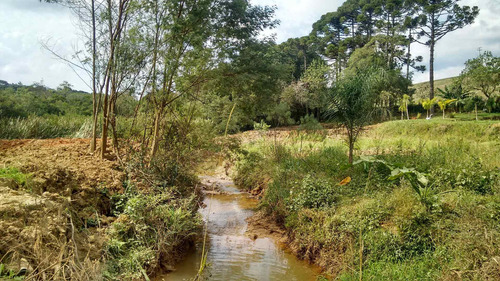 Imagem 5 de 16 de Chácara À Venda Em Contenda Pr. - Ch00001 - 68838246