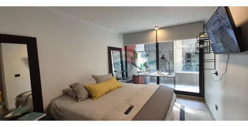 Arriendo Espectacular Depto 2d2b, Providencia