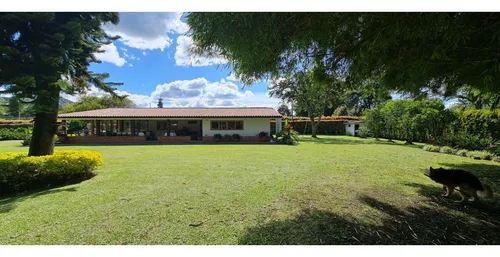 Vendo Casa Finca Independiente En Llanogrande Excelente Ubicación