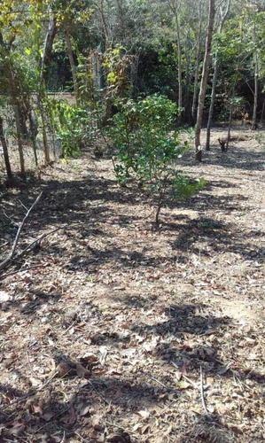 Imagem 4 de 5 de Loteamentos Para Comprar No Centro Em Jaboticatubas/mg - 1292