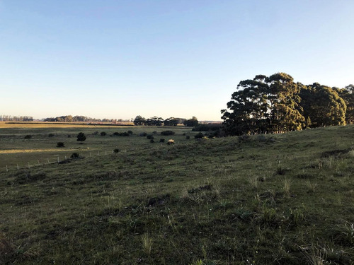 Imagen 9 de 9 de Campo - José Ignacio