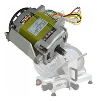 Comprar Repuesto Motor Cortadora De Fiambre Dynam-h 300mm Original