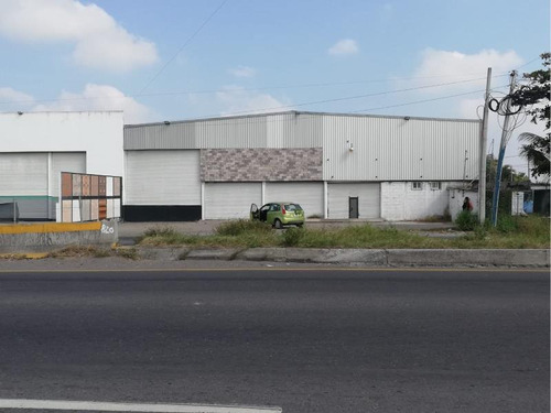 Bodega Comercial En Renta Amapolas 1ra Secc