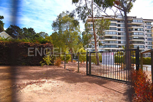 Terreno En Algarrobo Central