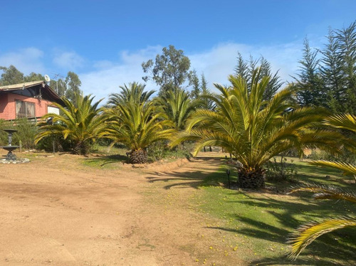Amplia Casa Amoblada En Algarrobo: 6 Hab, 2 Baños