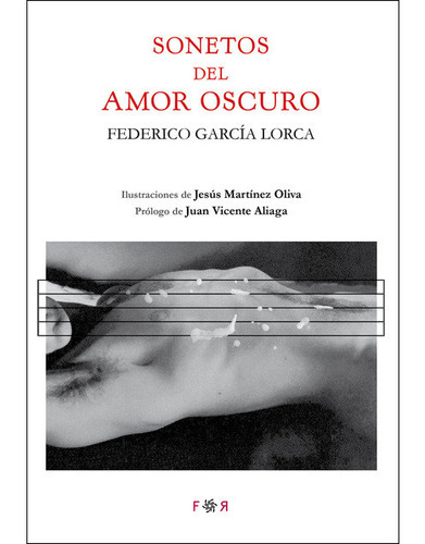 Sonetos Del Amor Oscuro (libro Original)