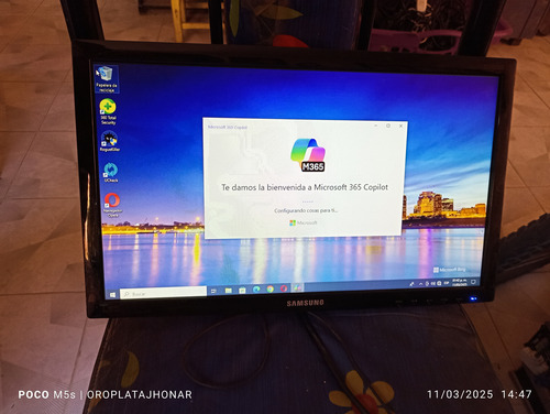 Samsung S19d300ny 19 Monitor Led (Usado)