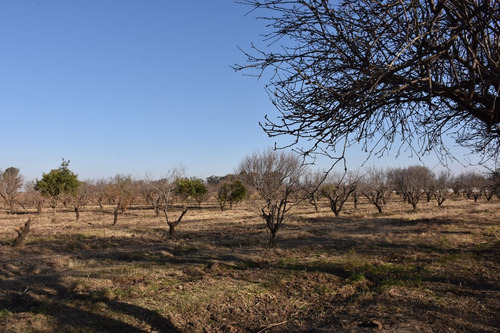 Quinta De 6.25 Has En Colonia Caroya, Provincia De Córdoba