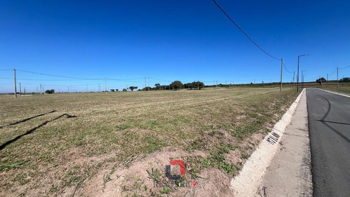 Lote En Docta Central