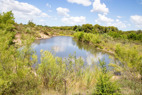 Venta Campo 20 Has