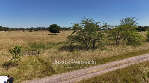 En Venta Terrenos En Zona Termas A 70 Mts Ruta 51
