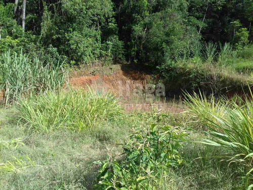 Imagem 7 de 7 de Terreno A Venda Em Botuverá/sc - 1704