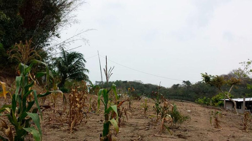 Vendo Terreno De 2346.42 M² En Tuxpan Ver. A Un Costado De Walmart