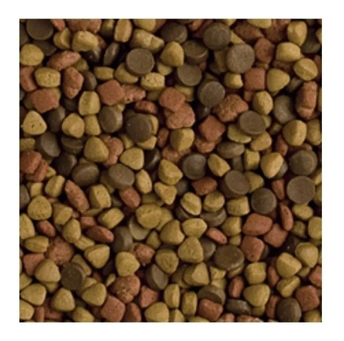 Imagen 2 de 3 de Set 400g Comida Huron Alimento Huron Alimento Completo