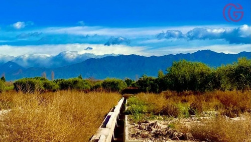 Greenwood Vende Lote En Vistalba Con Vista Unica A La Cordillera, Todos Los Servicios.