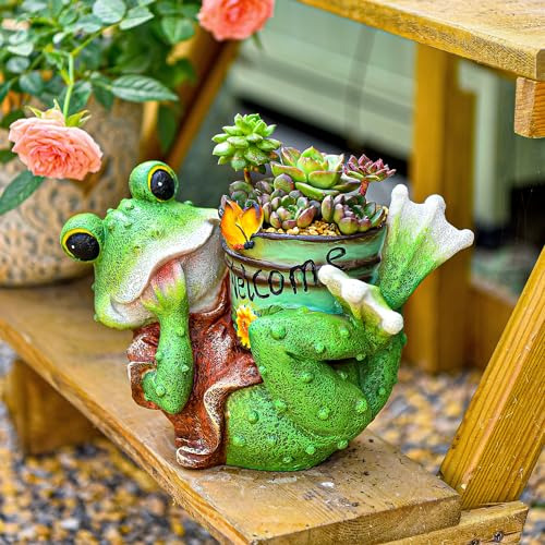 Maceta Para Suculenta Con Estatua De Rana Adorno Jardín