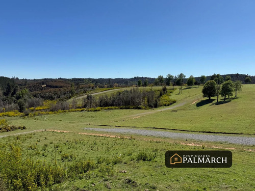 Venta Parcelas Urbanas En  Penco