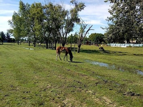 Imagen 17 de 17 de Quinta En Venta En Florencio Varela