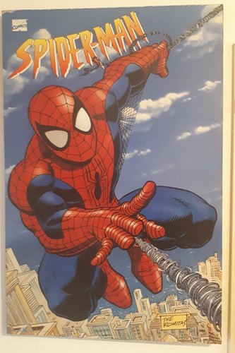 Cuadro Spiderman - The Romitas 1996 - Marvel Envios