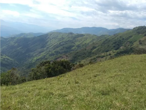 Vendo Finca Ganadera Cerca A La Cabecera De Armenia Mantequilla Ant.