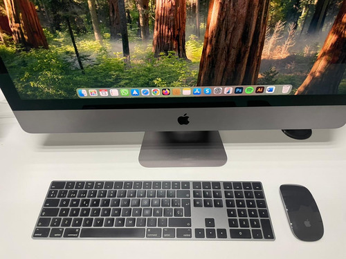 Imac Pro A1862 Xeon 64gb 1tb Ssd 27 5k Radeon Space Gray (Usado)