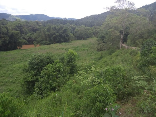 Imagem 10 de 30 de Fazenda - Fa00003 - 34856184