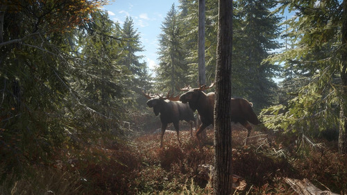 Thehunter: Call Of The Wild, Para Xbox One, Formato Físico