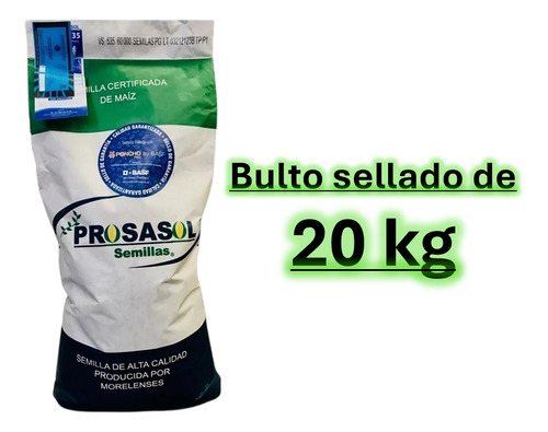 Semilla De Maiz Variedad 535 Elotero Y Grano Para Temporal