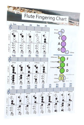 Tabla De Acordes De Flauta Digitación Principiante Práctica