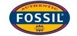 Relógio Fossil Ch2974/4dn