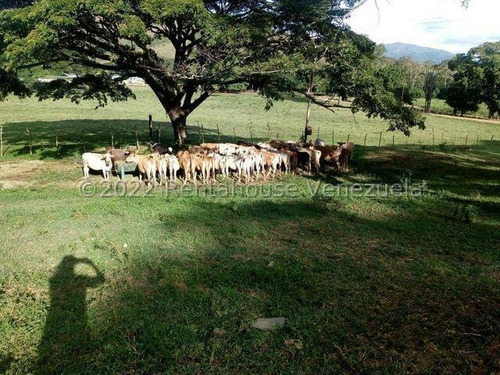 Finca Ganadera 267 Hectareas, Casa Principal De 550 Mts2 De Construcción Aproximados, 3 Depósitos De Maquinarias, Techos Nuevos, Ventanales Panoramicos Y Corredores