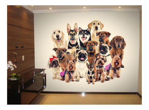 Papel De Parede 3d Animais Pet Shop Cão Gato M² Anm416