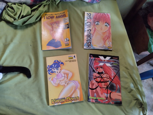 Doujins En Español En Buen Estado (Usado)