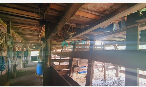 Imagem 14 de 30 de Lindo Sítio À Venda No Bairro São Luiz Em Apiúna Sc!! - Ru00003 - 69368760