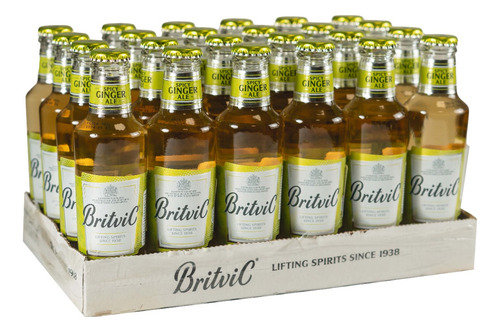 Ginger Ale Britvic 200ml Botella Pack X24 Reinounido Premium