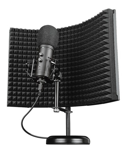 Micrófono Profesional Con Pantalla Absorbente Gxt 259 Rudox