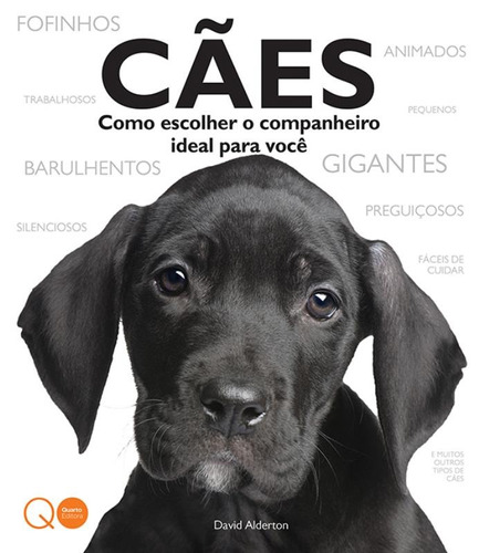 Cães : Como escolher o companheiro ideal para você, de David Alderton. Editora Brasil Franchising Participações Ltda, capa mole em português, 2016