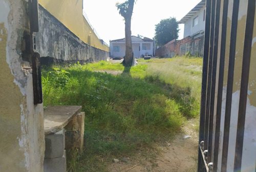 Imagem 2 de 2 de Terreno, Baorro Batistini, São Bernardo Do Campo - 1033-20149