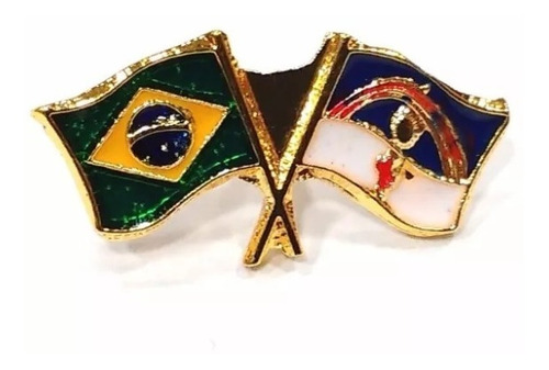 Pim Bótom Broche Bandeira Do Estado De Pernambuco Folheado