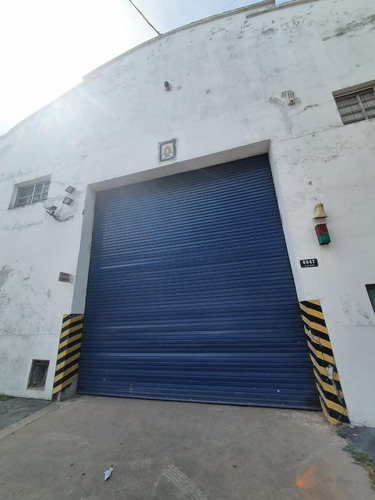 Imagen 22 de 22 de Alquiler Galpon 545m² Mar Del Plata Zona Champagnat Y Luro