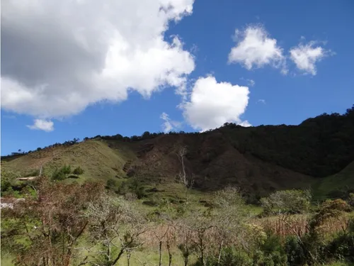 Finca En Venta La Unión Via Abejorral Antioquia. 83 Hectareas