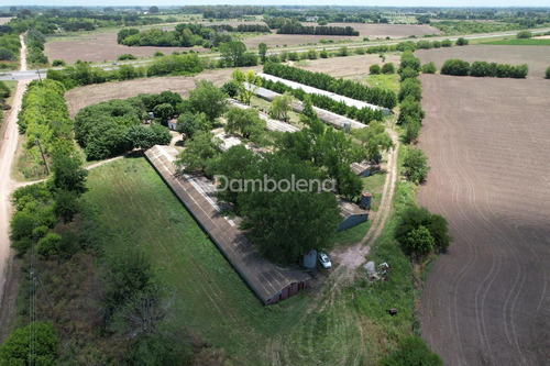 Imagen 2 de 15 de Terreno Campo En Venta - General Rodriguez - G.b.a. Zona Oeste
