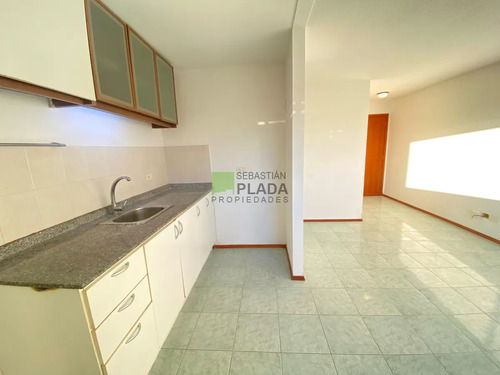 Apartamento De 2 Dormitorios En Alquiler En San Carlos