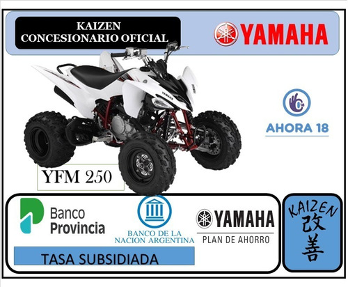 Imagen 1 de 1 de Yamaha Cuatriciclo Yfm 250 Okm 2012 Kaizen Yamaha La Plata 