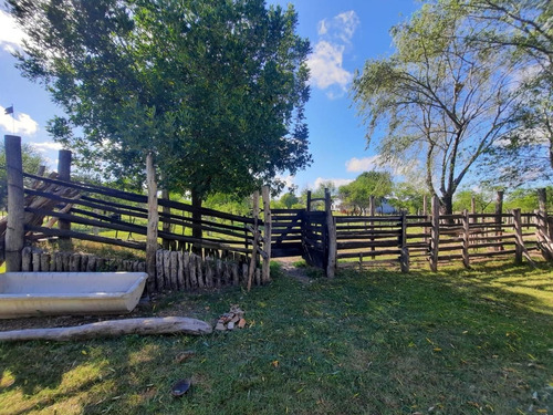 Imagen 8 de 30 de Campo Ganadero En Federal Entre Ríos